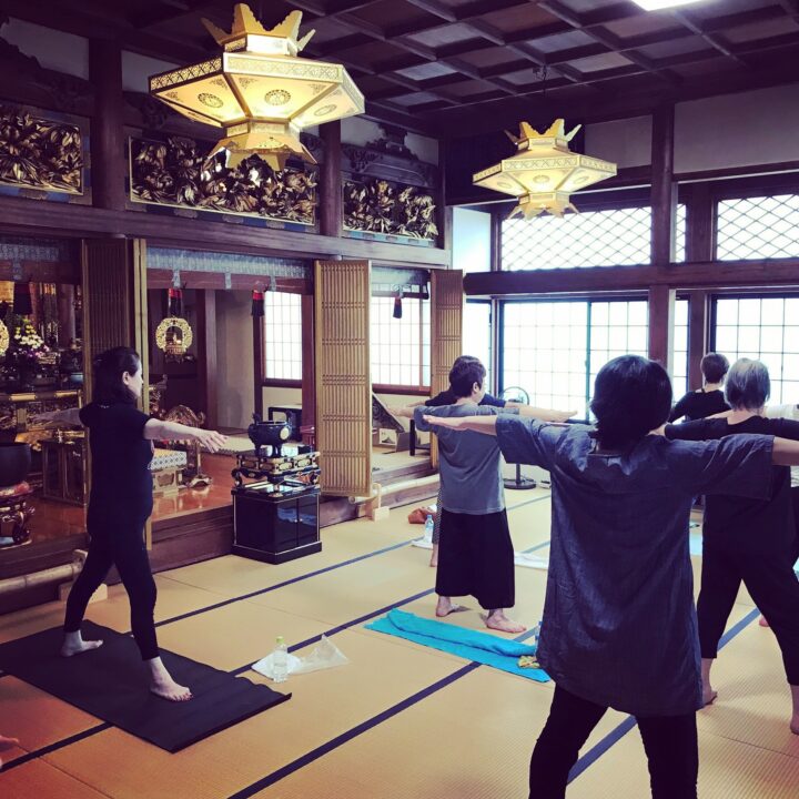 高輪のお寺でルーシーダットンの画像