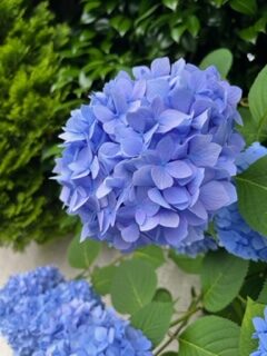 今週のレッスン後のお言葉集の画像